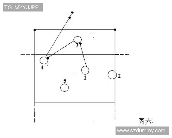 深圳排球队转换打法深度分析与战术创新探讨